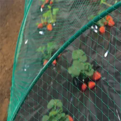 PLASA ANTIPASARI HOBBY 8GR MP 2M LATIME - Plasa protectie contra pasarilor si insectelor | AGRONOMAT - Foto 3