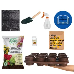 Kit plantare interactiv Agronomat, Micul Florar pentru copii cu 25 ...