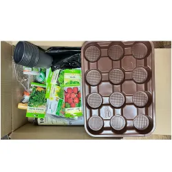 Kit plantare interactiv Agronomat, Micul Florar pentru copii cu 25 ...