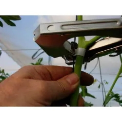 Aparat cleste Original Coreea de legat vita de vie si plante urcatoare - Ata palisat si solutii sustinere | AGRONOMAT - Foto 4
