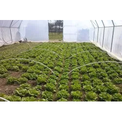 Set 50 tije / arcade minitunel 1.5, 2 si 3M din PVC 13mm grosime