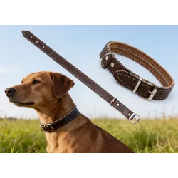 Curea / Zgarda caine din piele+sintetic 2.5CMx50CM