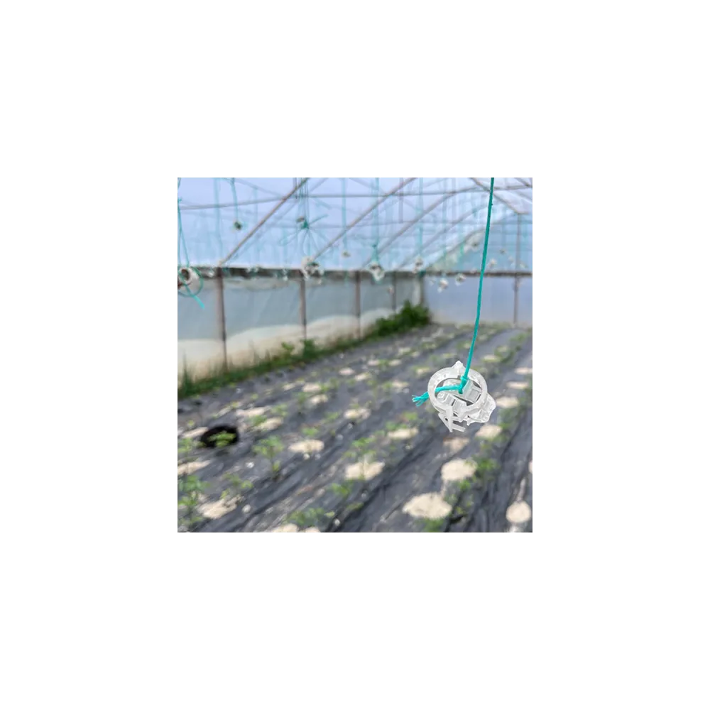 CLIPSURI PALISARE TOMATE ALBE SAU SET CU ATA PALISAT