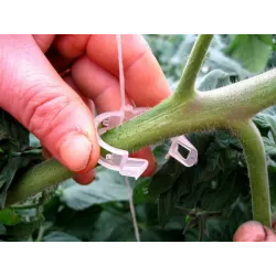 CLIPSURI PALISARE TOMATE ALBE SAU SET CU ATA PALISAT