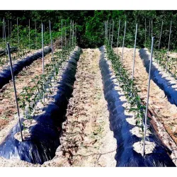 ARAC TEAVA HEXAGONALA PALISARE 16MM diametru, 1.8m sau 2m