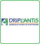 Driplantis